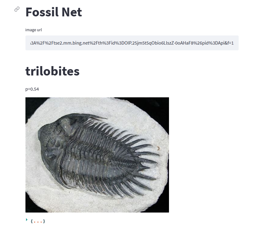 Screenshot of the app predicting a trilobite